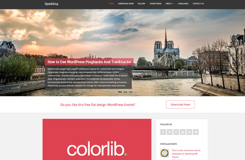 Sparkling – Free Flat Design WordPress Theme