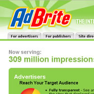 Advertisement programs for blogs and other websites to make money online