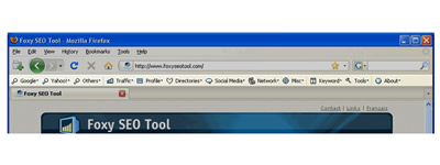 Foxy SEO Tool