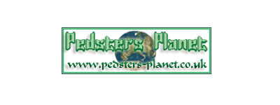 Duplicate or Bad Content