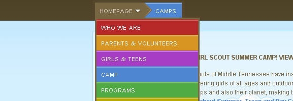 Girl Scouts