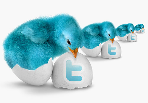 Blue Bird Twitter Icon Pack