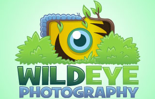 Wild Eye Photography