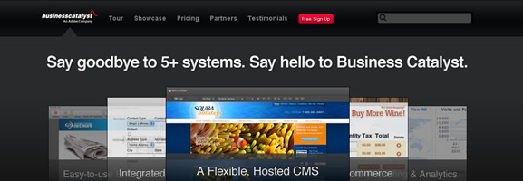 Business Catalyst