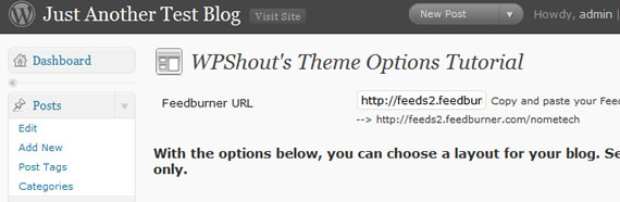 Create An Advanced Theme Options Panel in WordPress