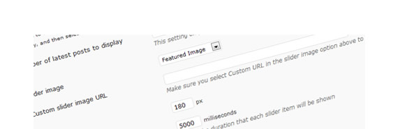 How to create a WordPress Theme Options Page