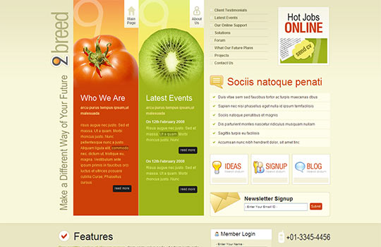 50 Free PSD website templates