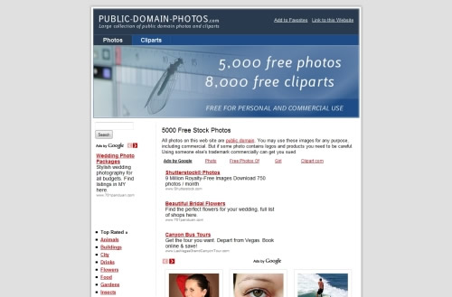 5000 Free Stock Photos