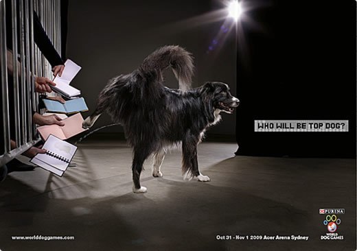 Autograph of dog