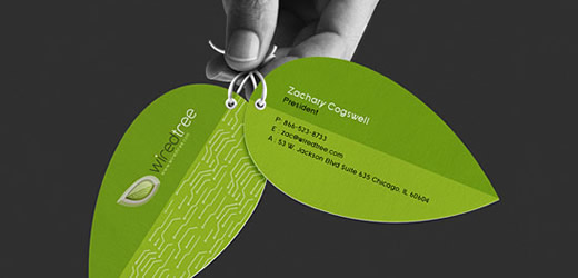 Layout and What to Include