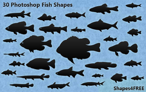 30 Photoshop Fish Shapes – Natural Fish