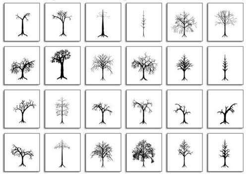 Dead Trees