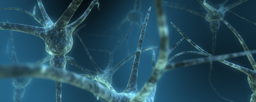 Dual Neuron