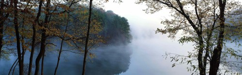 Fog River Bank