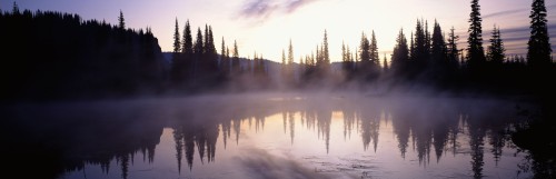 Foggy Mist
