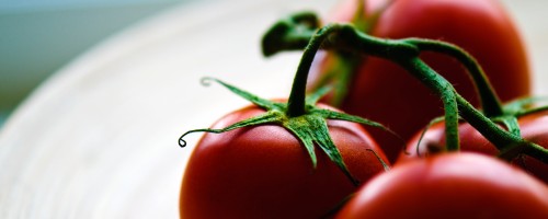 Solanum