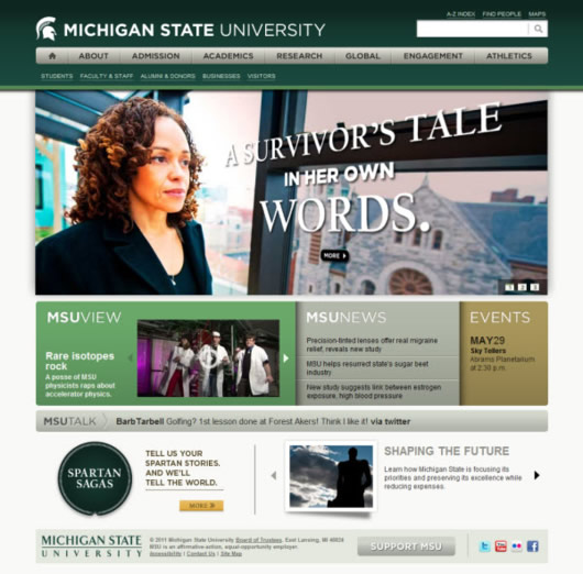 michigan state university