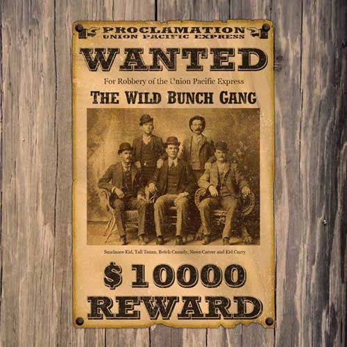 Create a Wild Western Create a Wild Western