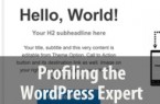 Wordpress Expert Profiling