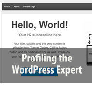 Wordpress Expert Profiling