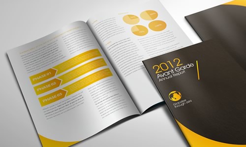 Avant Garde Annual Report 2012
