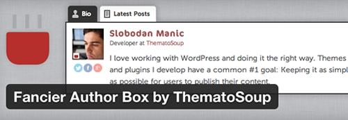 Author Bio: Fanciest Author Box