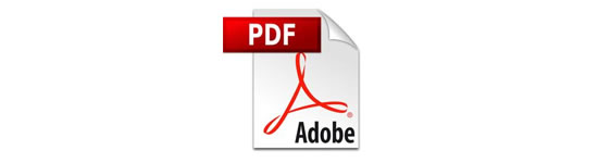 How to Add a PDF Download for Posts in WordPress