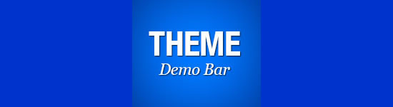 How to Add a Theme Demo Bar in WordPress