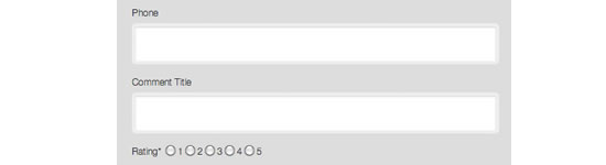 Adding Custom Fields In WordPress' Comment Form