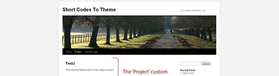 Using Shortcodes in Theme Development