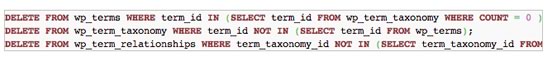 WordPress Delete Unused Post Tags By SQL Command
