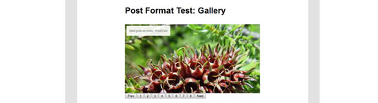 Turn WordPress Gallery Into Slideshow