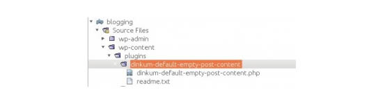 Writing Your First Plugin for WordPress