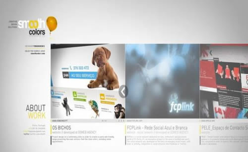 Flash portfolio websites