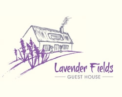 Lavender field guest house