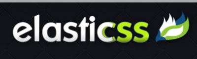 Elasticss